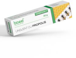 Bioeel Unguent cu propolis Dermosan P, 30g, Bioeel