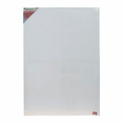 Daco Panza pictura pe sasiu 70*100 cm DACO pz70100 (PZ70100) Panza pictura