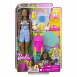 Mattel Barbie Brooklyn Camping Set Joaca HDF72