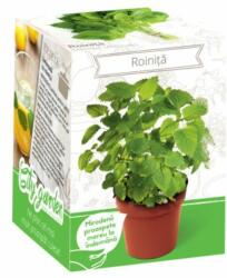 Yurta Kit Plante Aromatice Roinita (HCTA01844)