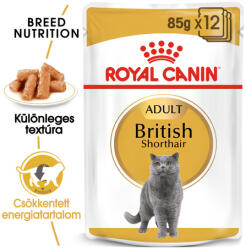 Royal Canin British Shorthair Adult - Brit rövidszörű felnőtt macska nedves táp (12 x 85 g) 1.02 kg