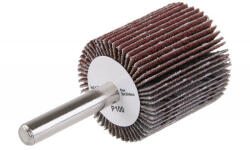  Csapos lamellás csiszolókorong 30 x 30 x 6 mm / P100 (21858F)