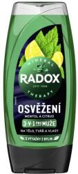 Radox Refreshment Menthol And Citrus 3-in-1 Shower Gel gel de duș 225 ml pentru bărbați
