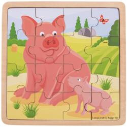Bigjigs Toys puzzle - Purcel cu purcel (DDBJ495)