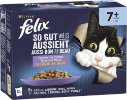 FELIX Fantastic nedvestáp 12x85g - Senior - 1.020 g