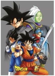 Aymax Dragon Ball polár takaró grey 100x140cm (AYM072440)