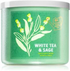 Bath & Body Works White Tea & Sage 411 g