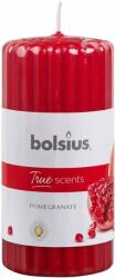 Bolsius Pomegranate 6 pcs (428072)