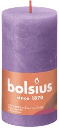 Bolsius Shine violet 4 pcs (440833)