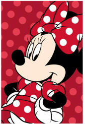 Jerry Fabrics Disney Minnie polár takaró red 100x150cm (microflanel) (JFK033777)