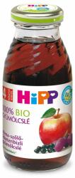 HiPP Bio Alma-szőlő-feketeribizli gyümölcslé C-vitaminnal 200 ml 4 hó+ - careclub - 679 Ft