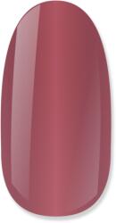 NiiZA Gel Polish 4ml - 460