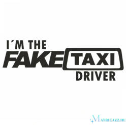 FakeTaxi Driver - Autómatrica