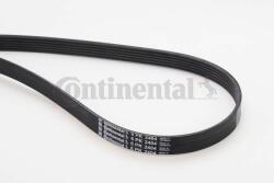 Continental Ctam Curea transmisie cu caneluri CONTINENTAL CTAM 6PK2404 - centralcar