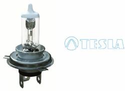 Tesla Bec incandescent TESLA - centralcar - 18,11 RON