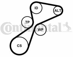 Continental Ctam Set curea transmisie cu caneluri CONTINENTAL CTAM 5PK1105K1 - centralcar