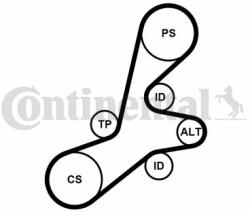 Continental Ctam Set curea transmisie cu caneluri CONTINENTAL CTAM 6PK1352K1