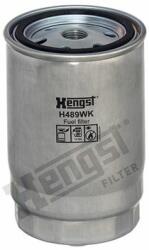 Hengst Filter filtru combustibil HENGST FILTER H489WK - centralcar