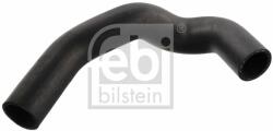 Febi Bilstein Furtun radiator FEBI BILSTEIN 12095