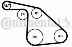 Continental Ctam Set curea transmisie cu caneluri CONTINENTAL CTAM 6PK1038K1