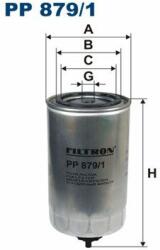 FILTRON filtru combustibil FILTRON PP 879/1 - centralcar
