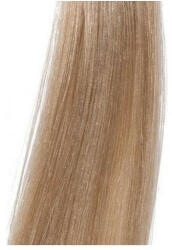 Wella Illumina Color 10/1 60 ml