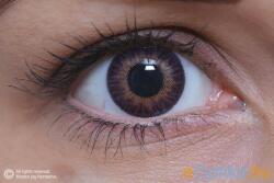 MAXVUE VISION 3 Tones Violet (2 lentile) (EYE3TVLT)