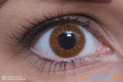 MAXVUE VISION Basic Honey (2 lentile) (EYE1THNY)