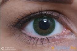 MAXVUE VISION Basic Green (2 lentile) (EYE1TGRN)