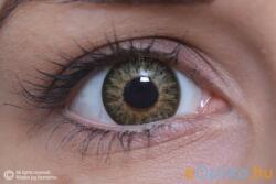 MAXVUE VISION Glamour Green (2 lentile) (EYEGLGRN)