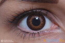 MAXVUE VISION 3 Tones Brown (2 lentile) (EYE3TBRN)