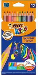 BIC Creioane colorate BIC Evolution Stripes, 12 culori/set (EAN-499102)