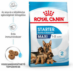 Royal Canin Maxi Starter - Száraz táp nagy testű vemhes szuka és (33712)