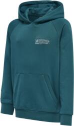 Hummel Hanorac cu gluga Hummel hmlGG12 SWEAT HOODIE KIDS 213982-7161 Marime XXS (111-116 cm)