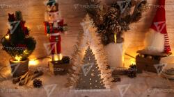 TRACON Brad LED de Crăciun, din lemn, cu baterii Timer 6+18h, 13LED, 3000K, 2xAA (CHRTRWG13WW)