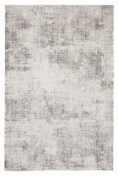 Bizzotto Covor textil argintiu Suri 200x290 cm (0601484) Covor
