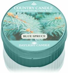 The Country Candle Company Blue Spruce lumânare 42 g