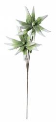 Bizzotto Set 12 flori Aloe verde 55x125 cm (0172587) - decorer