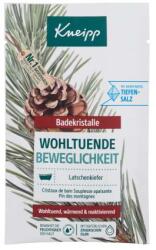 Kneipp Soothing Mobility Bath Salt sare de baie 60 g unisex