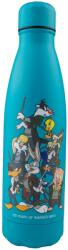 Cinereplicas Sticlă de apă CineReplicas Animation: Looney Tunes - Looney Tunes at Hogwarts (WB 100th) (HPE61507)
