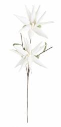 Bizzotto Set 12 flori Aloe artificiala alba 55x125 cm (0172716)