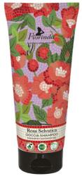 Florinda Șampon-gel de duș Trandafir sălbatic - Florinda Mosaici Italiani Shampoo Shower Gel 200 ml