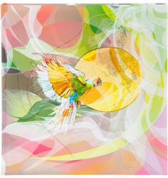 Goldbuch Design Papagáj fotóalbum - 60/30x31 (27 742)