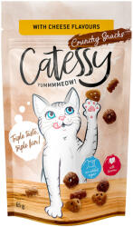 Catessy 65g Catessy sajt ropogós macskasnack