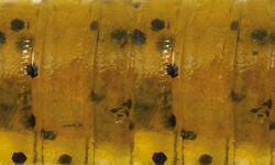 Rapture ULC Water Shrimp 6, 2cm 1gr Watermelon BF Lágygumi Csali 8db (187-21-121)