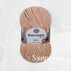  Kartopu NO: 1 - Világos fáradtrózsaszín - 1873