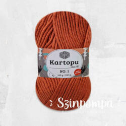  Kartopu NO: 1 - Terra - 1210