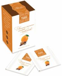Gárdonyi Teaház Fűszeres narancs ízesítésű teakeverék - 20 filter - vitaminbolt