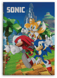 Sonic a sündisznó polár takaró 100x140cm (BRM013995) - kidsfashion