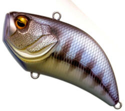 Raid Vobler Raid Japan Level VIB, 5.4cm, 10.6g, 010 Chi Gill (RAID30185)